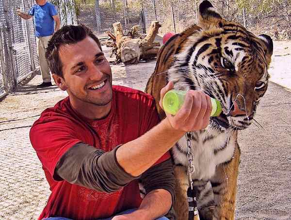 Award winning animal Trainer Brandon McMillan | Thecelebsinfo